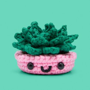 Jade the Succulent Crochet Kit